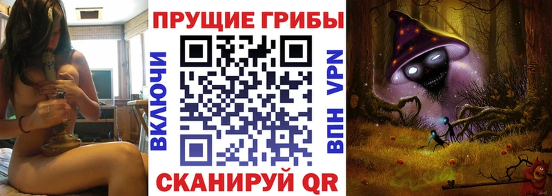 Галлюциногенные грибы прущие грибы купить сайты Курчалой